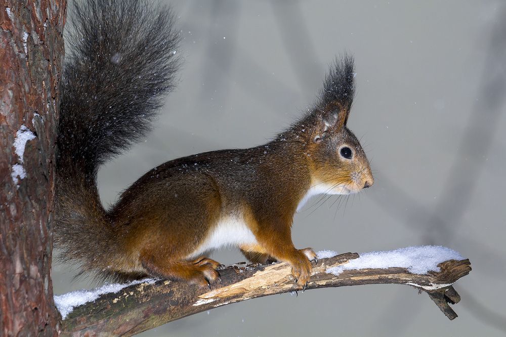 Photograph by Вячеслав Орос