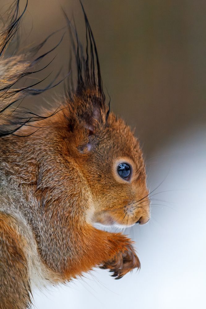 Photograph by Вячеслав Орос