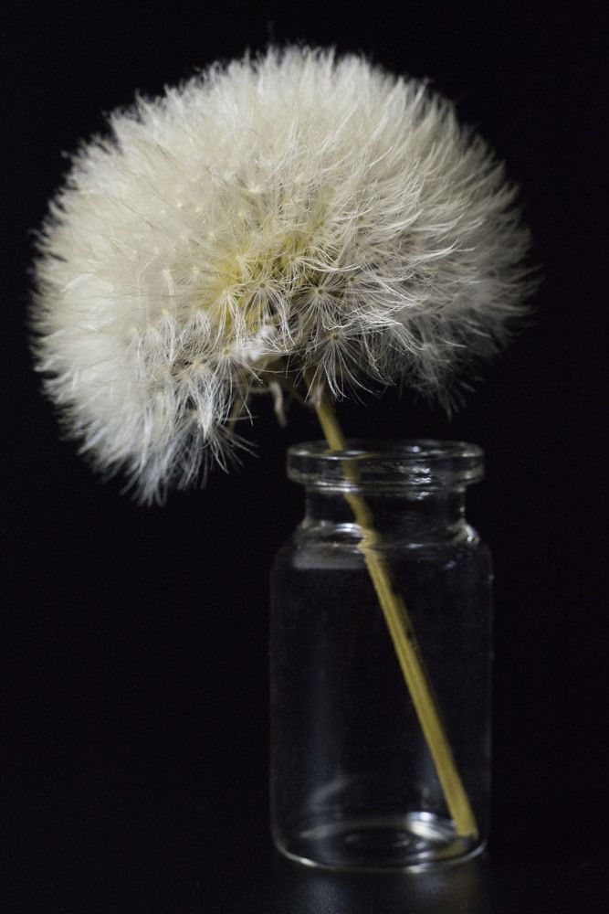 Фотография автора Анастасия Павловна