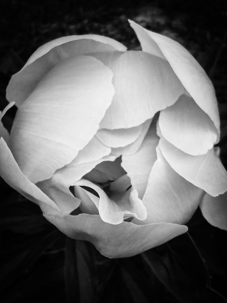 Photograph by Аксиния Михеева