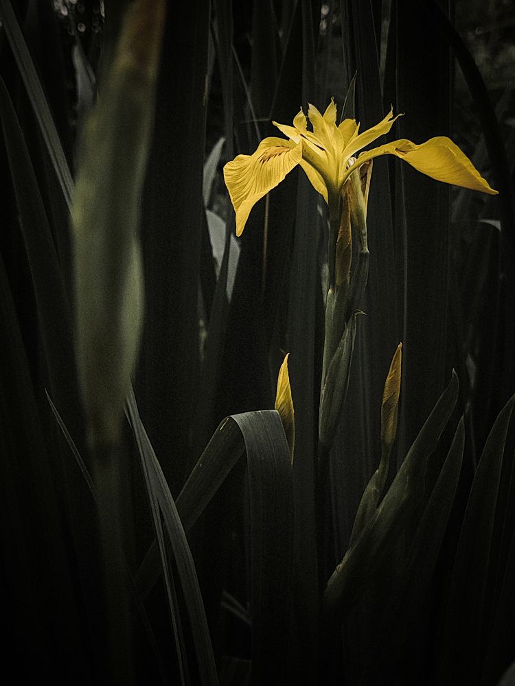 Photograph by Аксиния Михеева