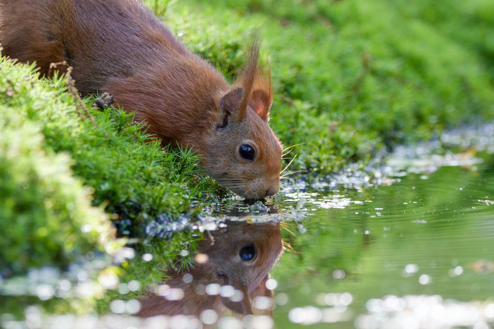 Photograph by Silvia Koopmans