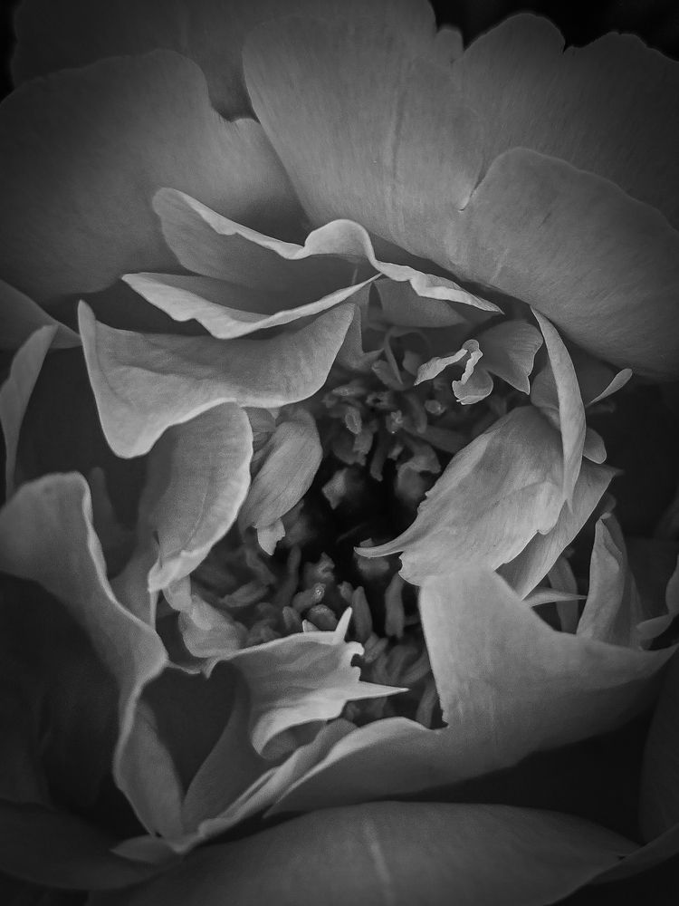 Photograph by Аксиния Михеева