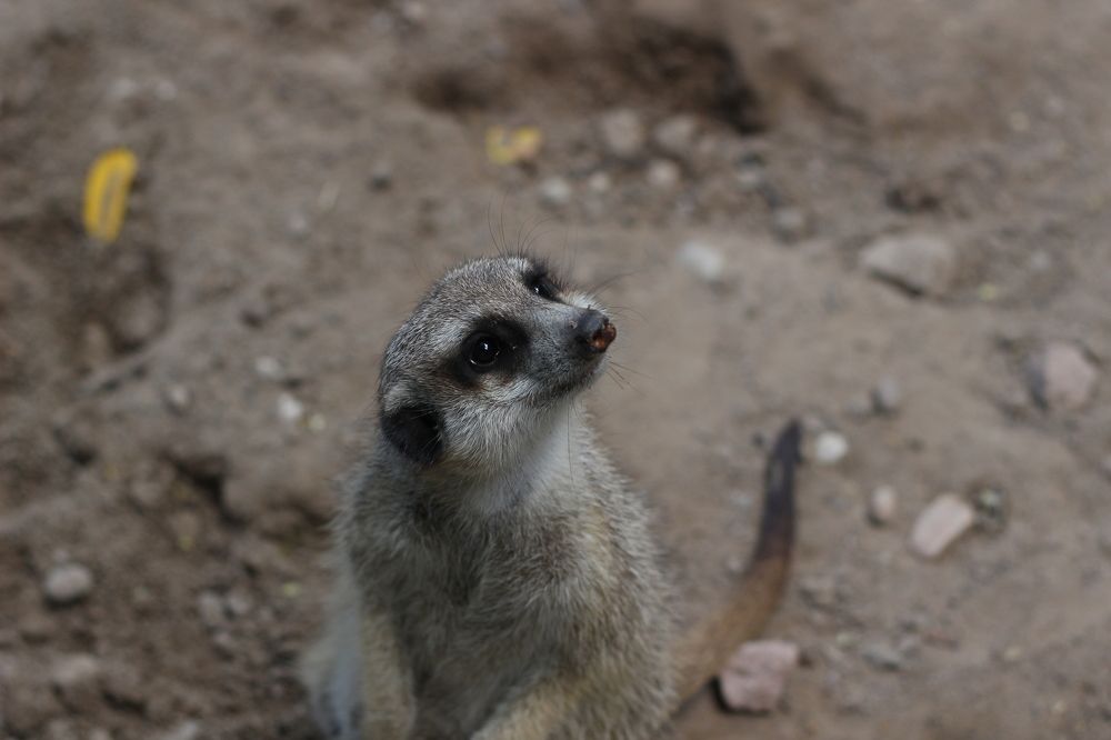 Photograph by Ksenia Werner