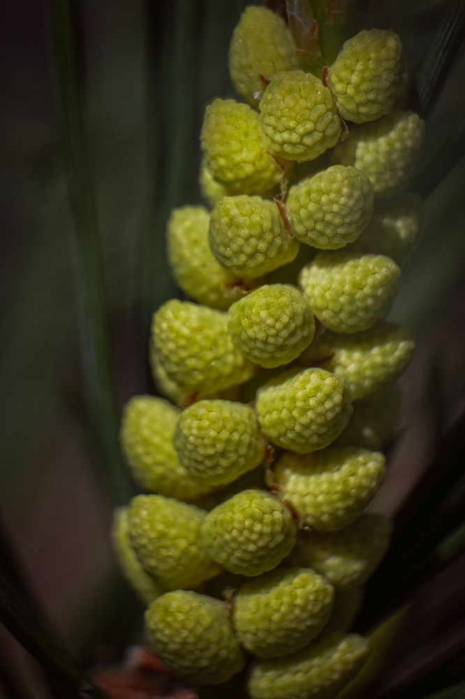 Photograph by Евгения Путинцева