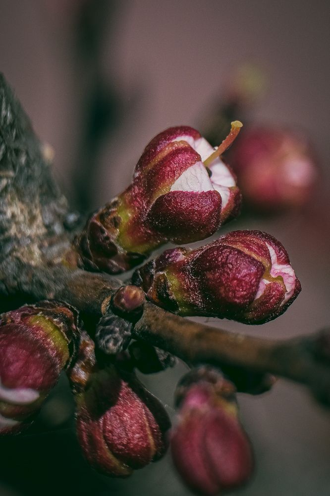 Photograph by Евгения Путинцева