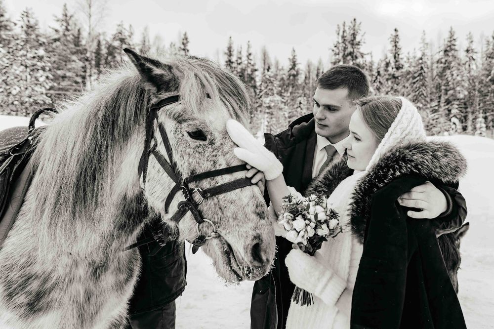 Photograph by Сергей Комаров