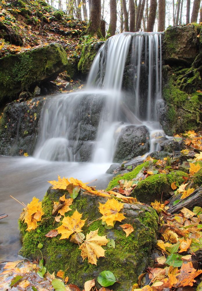 Photograph by Суетинов Евгений