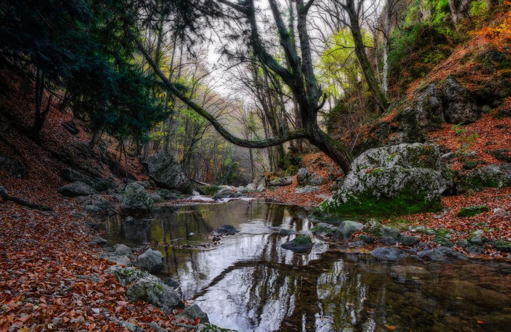 Фотография автора Виктор Долматов