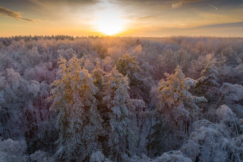 Photograph by Тябин Владислав