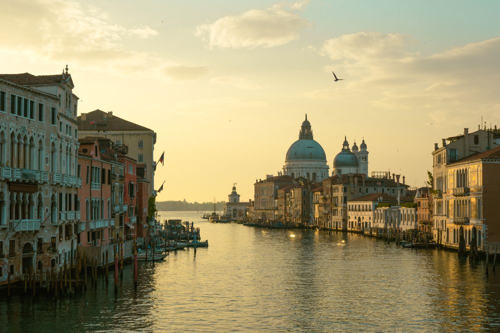 Photograph by Leonid Radashkovsky