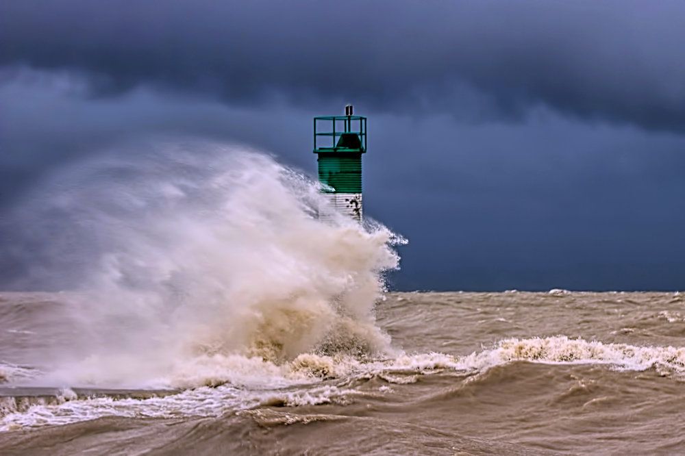 Photograph by A. G. Bisschop