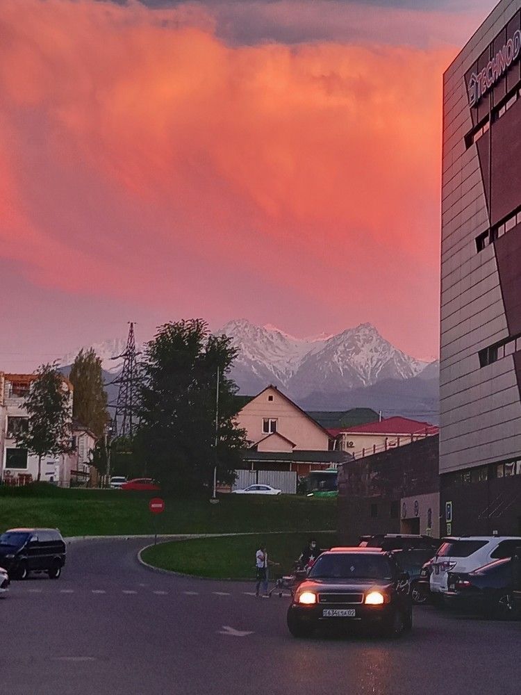 Photograph by Юлия Гурова