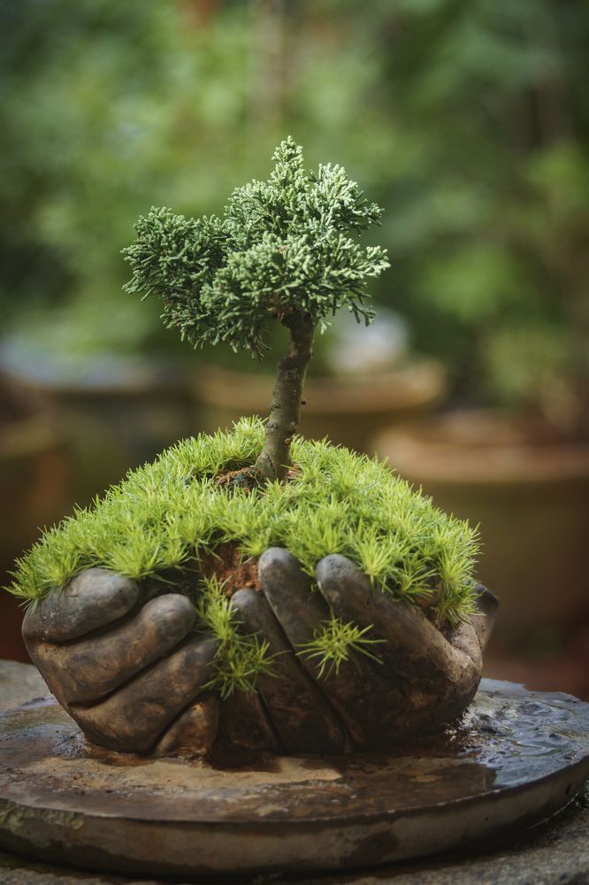 Photograph by Le Tri