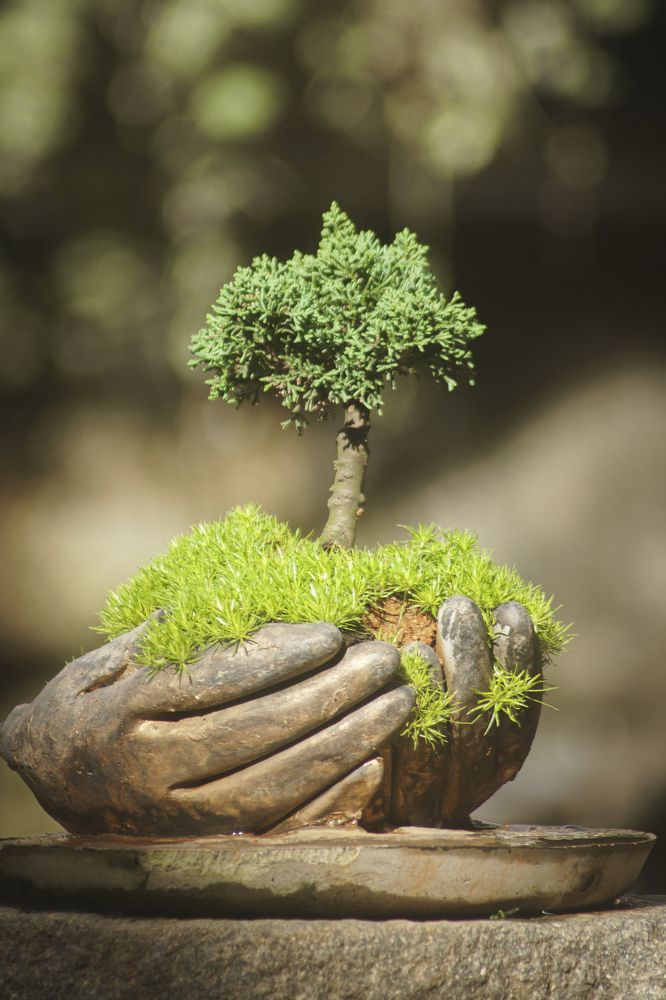 Photograph by Lê Trí