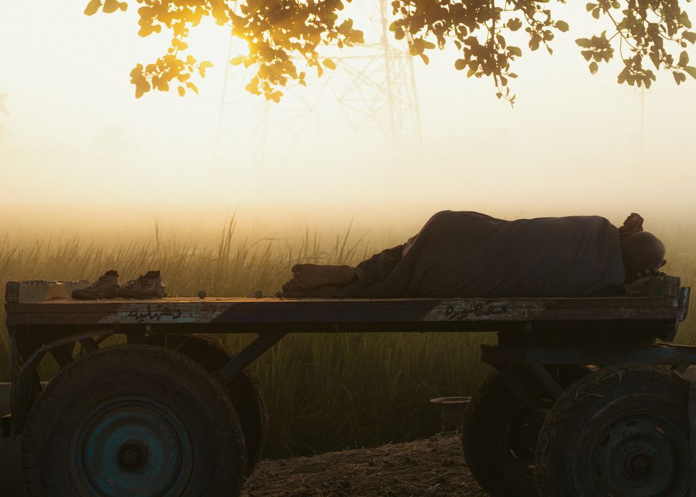 Photograph by Ahmed Shawky