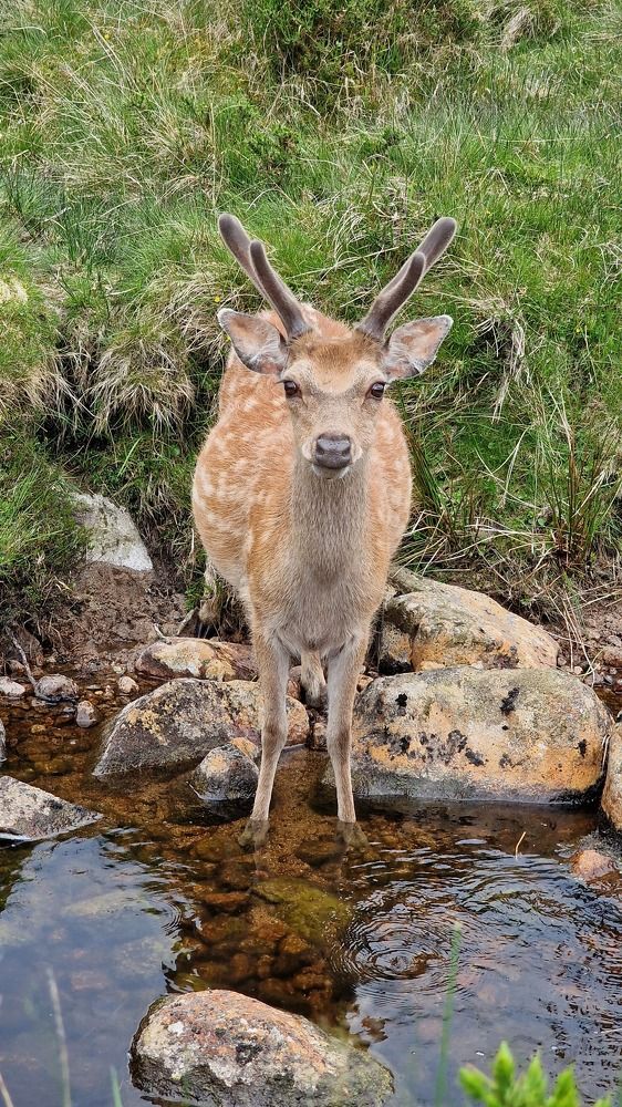 Photograph by Iryna Pravdiuk