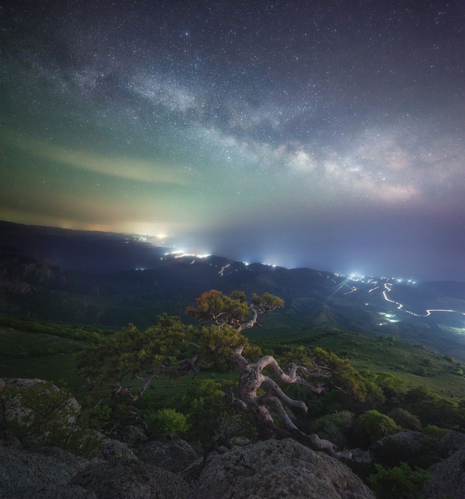 Photograph by Roman Lyubimski