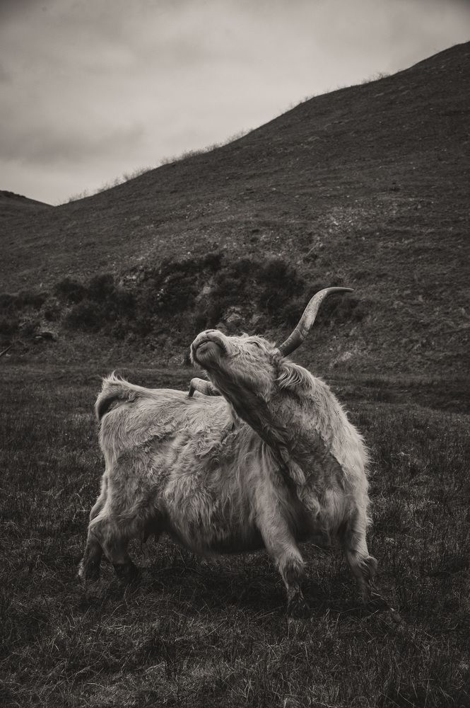 Photograph by Ekaterina Erofeeva