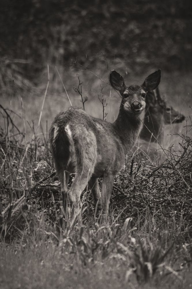 Photograph by Ekaterina Erofeeva