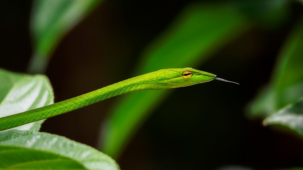 Photograph by Sergio