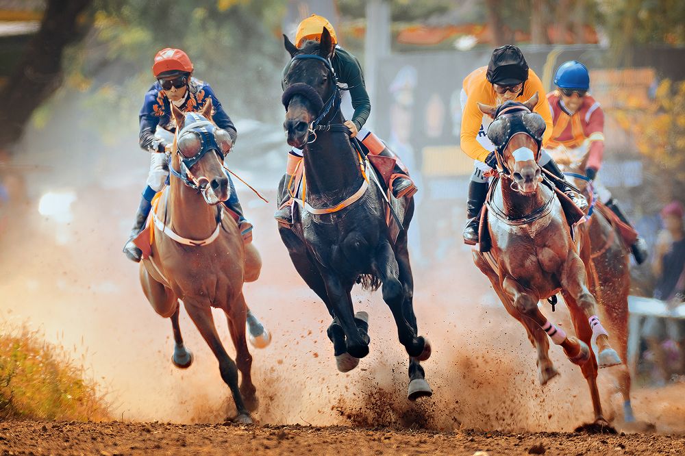 Photograph by Purwanto Nugroho