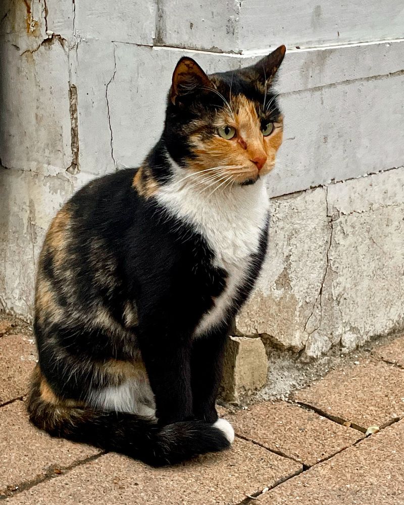 Photograph by Ольга Дорошенко