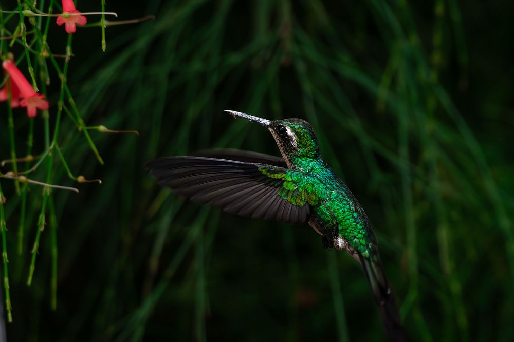 Photograph by Abel Cancino Gutierrez