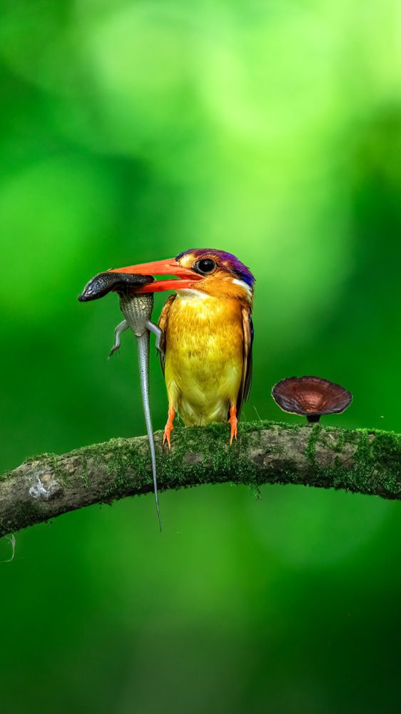 Photograph by Bidyut Saikia