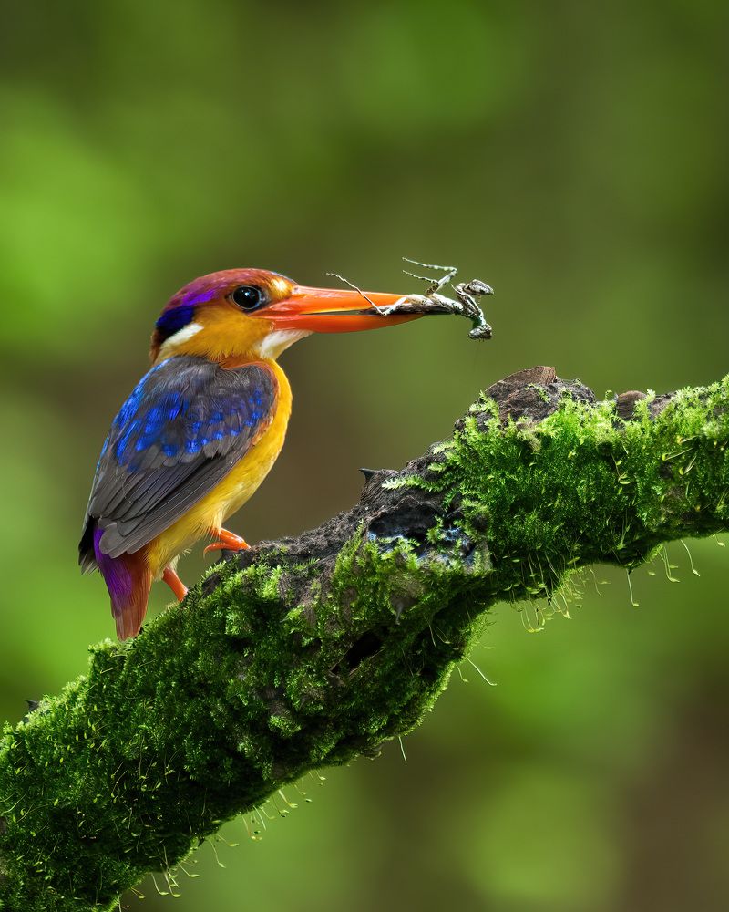 Photograph by Bidyut Saikia