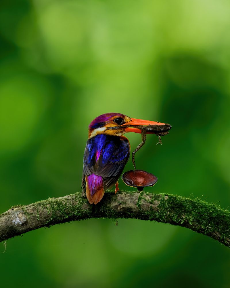 Photograph by Bidyut Saikia