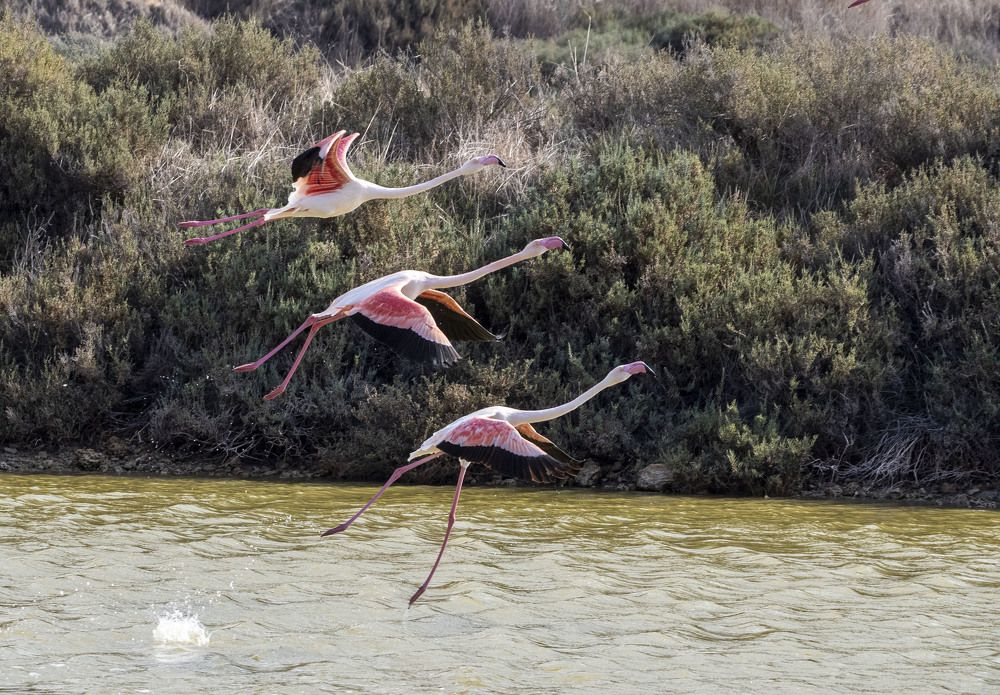 Photograph by Валентина Лопаткина