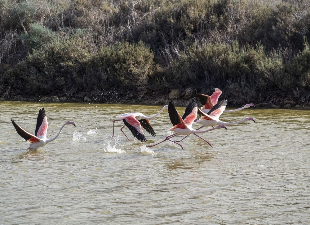 Photograph by Валентина Лопаткина