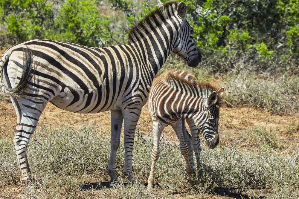 Photograph by Валентина Лопаткина