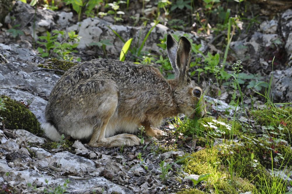 Photograph by Евгений Самулев