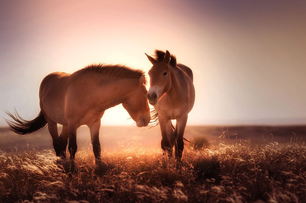Photograph by Бирюкова Татьяна