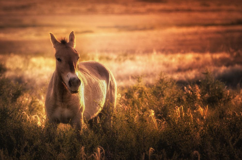 Photograph by Бирюкова Татьяна