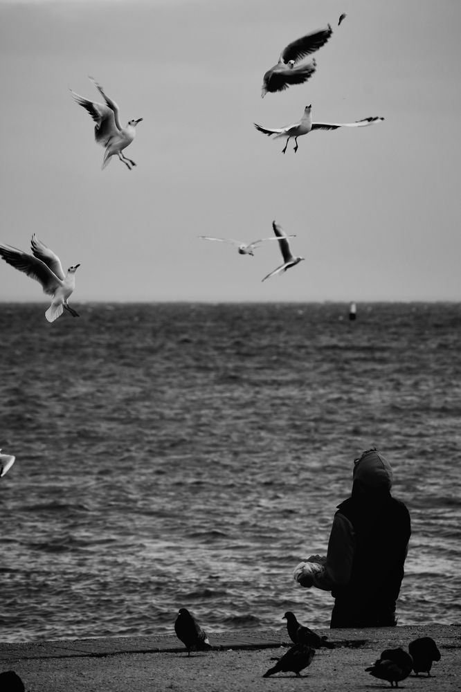 Photograph by Гребенников Владимир