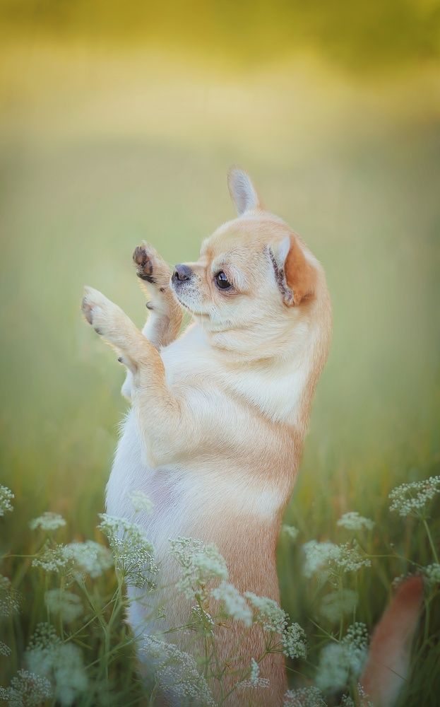 Photograph by Людмила Потапочкина