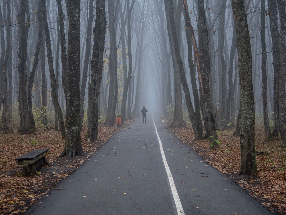 Photograph by Виталий Маслов