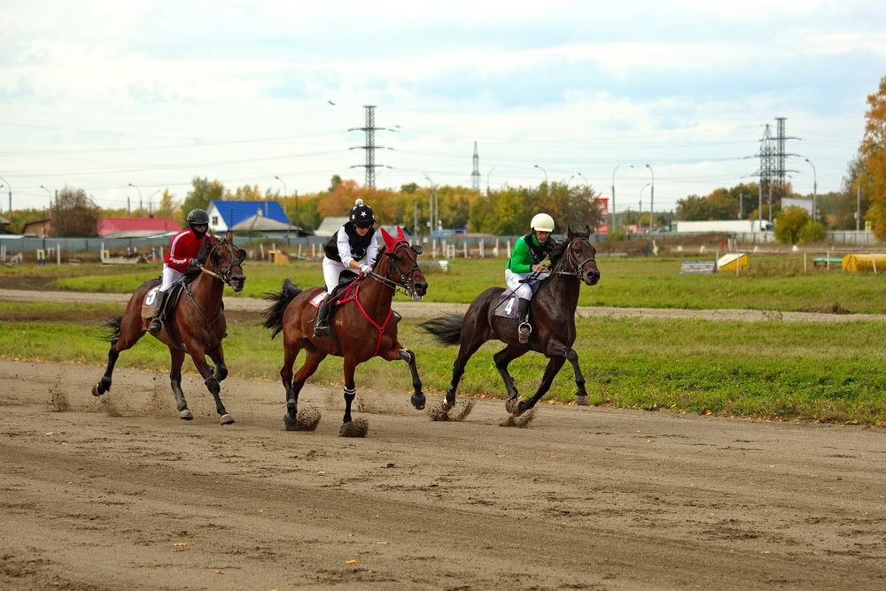 Photograph by Алексей Хазов