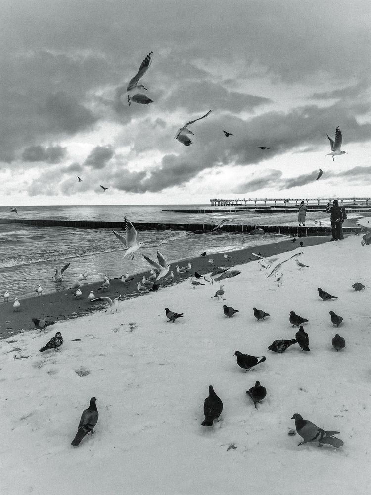 Photograph by Анастасия Гаврилова