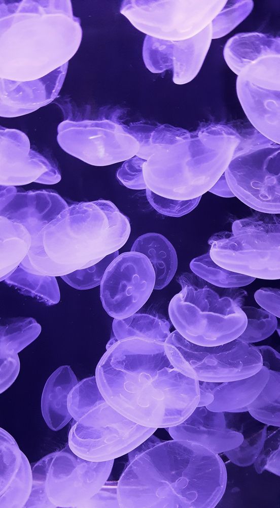 Photograph by Джус Мария