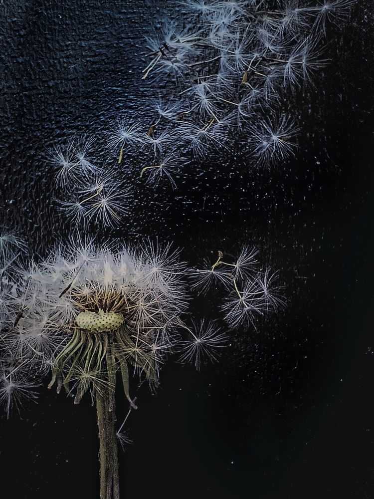 Фотография автора Татьяна Шахова