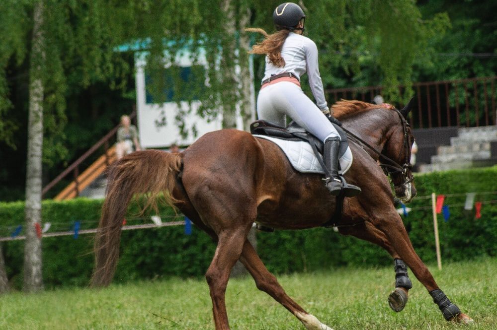 Photograph by Ангелина Ледовская