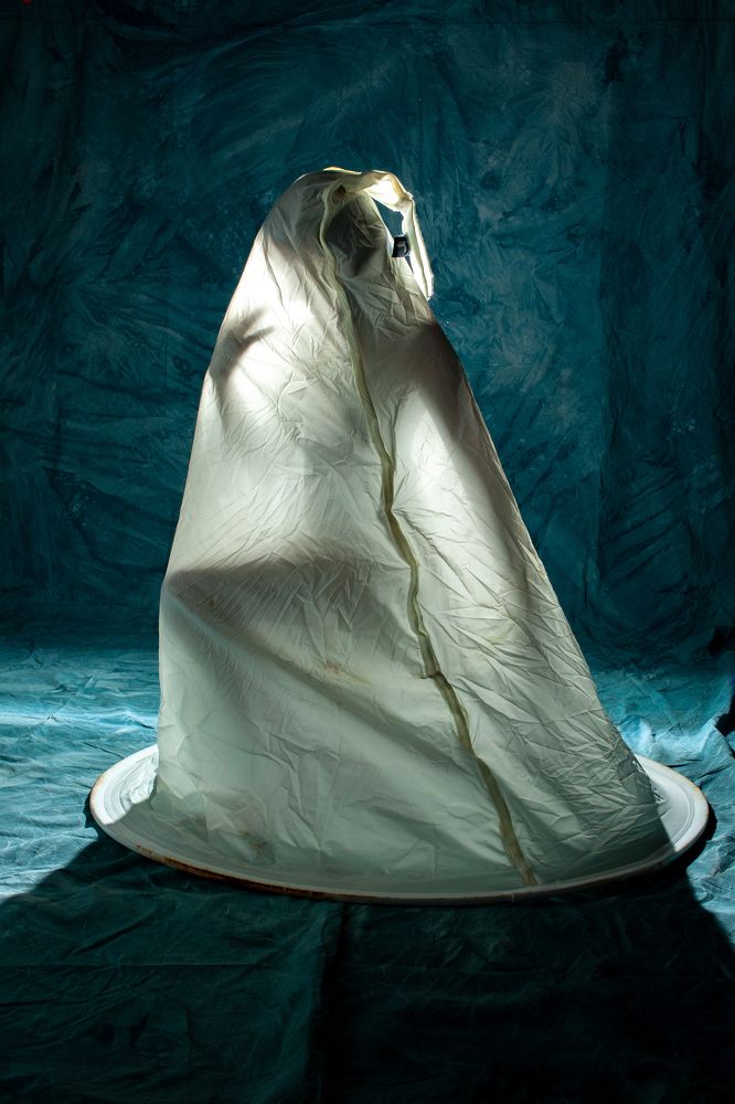 Photograph by Michelle Burge