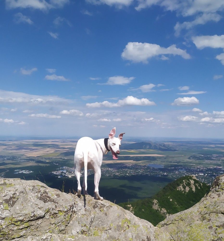 Photograph by Галина Воеводенко