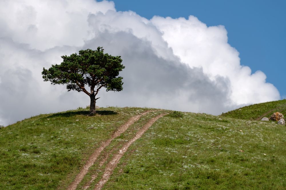 Photograph by Константин Пухов