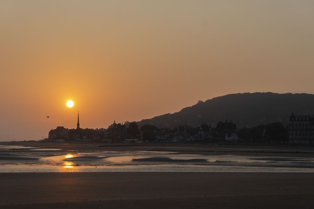 Фотография автора Ирина Зайцева