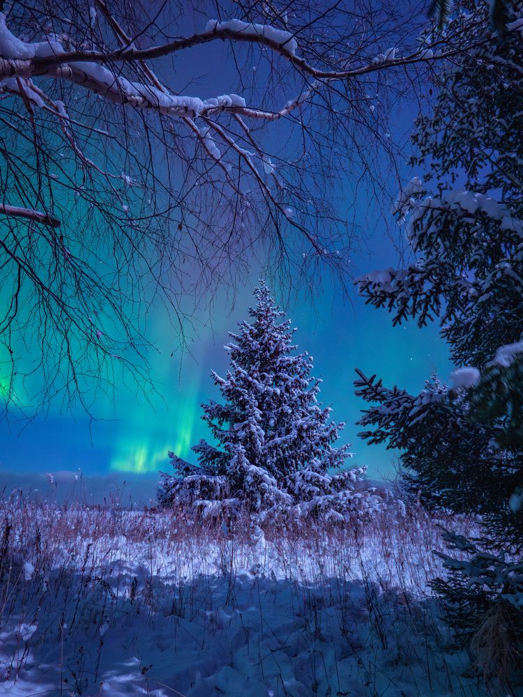 Photograph by Jurate Kastritskaja